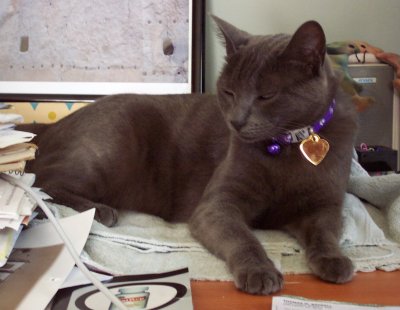 Pygar on the Desk (09/2004)